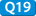 Q19