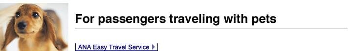 For passengers who bring their pets with them