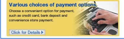 Various choices of payment options