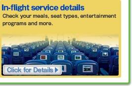 In-flight service details
