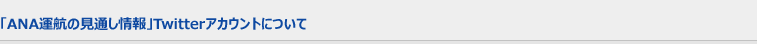 ��ANA���Ҥθ��̤������Twitter��������ȤˤĤ���