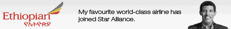 starallianceバナー
