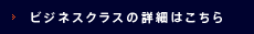 �ӥ��ͥ����饹�ξܺ٤Ϥ�����