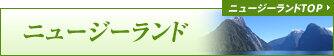 �˥塼��������
