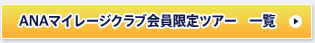 ANA�ޥ��졼������ֲ������ĥ��� ����
