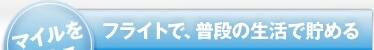 �ޥ��������롧�ե饤�Ȥǡ����ʤ�����������
