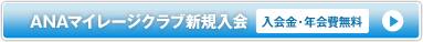 AMC�ޥ��졼������ֿ�������