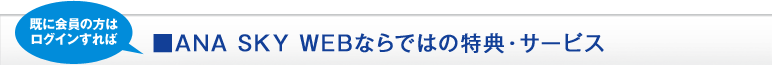 ANA SKY WEB�ʤ�ǤϤ���ŵ�������ӥ�