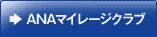 ANA�ޥ��졼�������