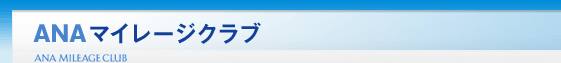ANA�ޥ��졼�������