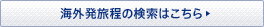 �C�O�������̌����͂�����