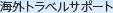 �C�O�g���x���T�|�[�g