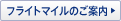�t���C�g�}�C���̂��ē�