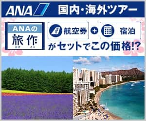 ANA�̗��s�T�C�g�yANA SKY WEB TOUR�z