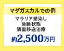 �ޥ���������Ǥ��㡣�ޥ�ꥢ������������֡��ٹ�������š���2,500����