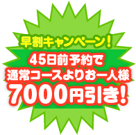 45日前予約で7000円引き！