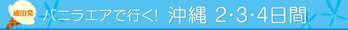 成田発 バニラエアで行く！ 沖縄2・3・4日間
