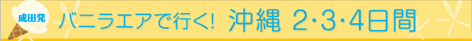 成田発 バニラエアで行く！ 沖縄2・3・4日間