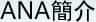 ANA簡介
