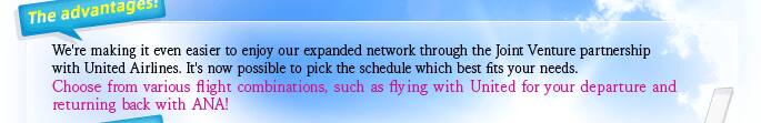 We're making it even easier to enjoy our expanded network through the Joint Venture partnership with United Airlines. It's now possible to pick the schedule which best fits your needs. Choose from various flight combinations, such as flying with United for your departure and returning back with ANA!