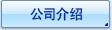 公司介绍