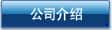 公司介绍