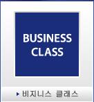 비지니스 클래스