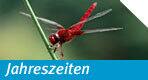 Jahreszeiten