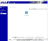 拡大表示