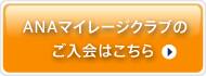 北米ANA中小企業向け会員プログラム「ANA Business Flyers」