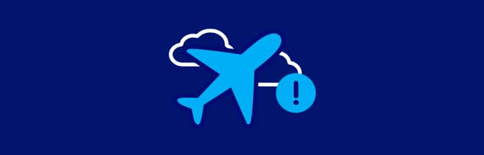 運航 サービス情報 Ana