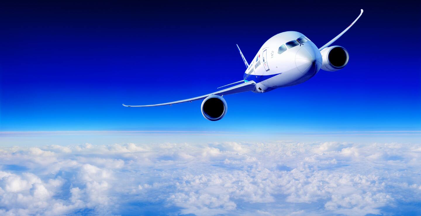 日本行き航空券 飛行機チケットの予約 Ana Philippines