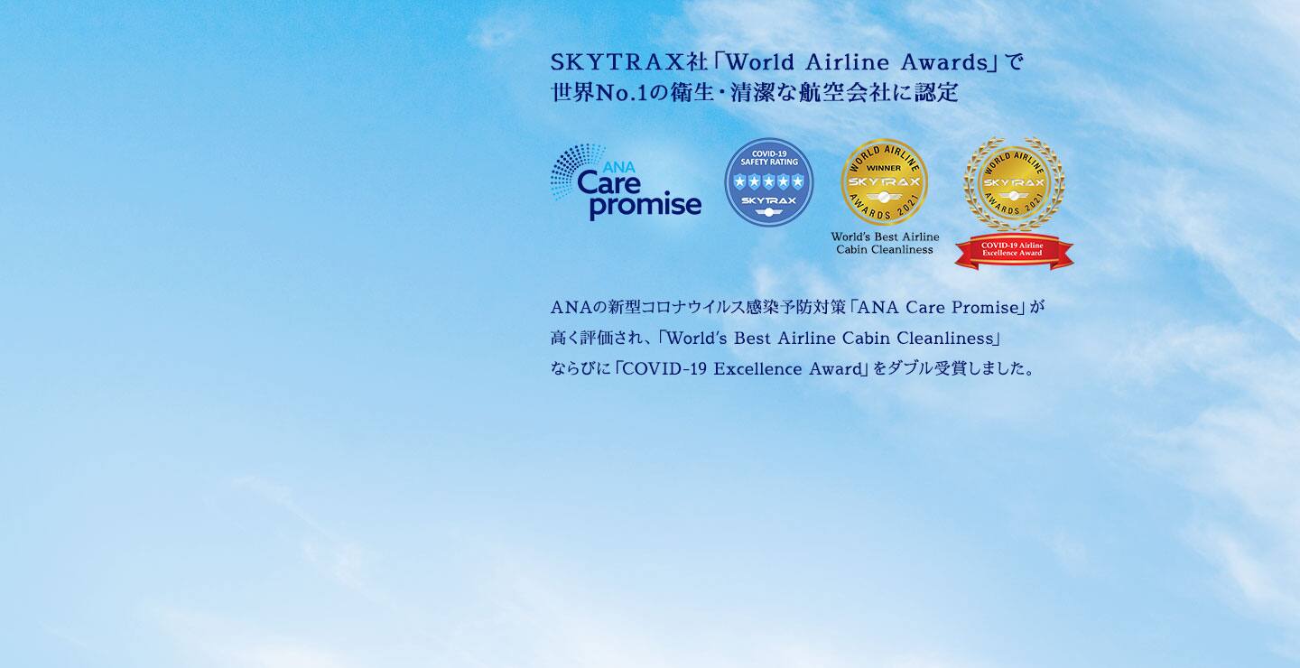 日本行き航空券 飛行機チケットの予約 Ana Malaysia
