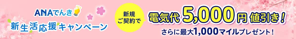 ANAでんき新生活応援キャンペーン　新規ご契約で電気代5,000円値引き！さらに最大1,000マイルプレゼント！2026年3月2日から2026年4月30日まで