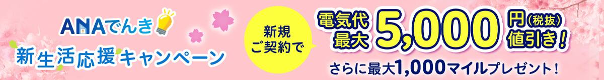 ANAでんき新生活応援キャンペーン　新規ご契約で電気代最大5,000円（税抜）値引き！さらに最大1,000マイルプレゼント！