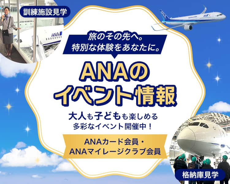 希少品✨ANA限定カード ANAカード30周年記念 3D リップマンホログラム付 ANA JCBワイド