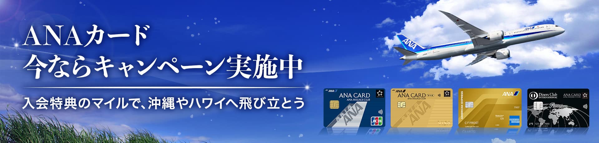 ANAカード今ならキャンペーン実施中　入会特典のマイルで、沖縄やハワイへ飛び立とう