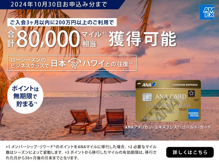 ユニバーサル・スタジオ・ジャパン チケット 2枚セット 2024年10月19日 