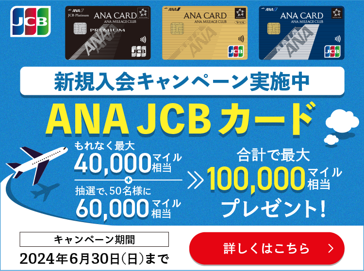 ANAマイル100万様専用 - その他 ANAマイル100万様専用 - その他