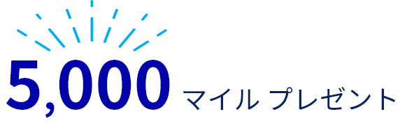 Anaカード入会キャンペーン 21