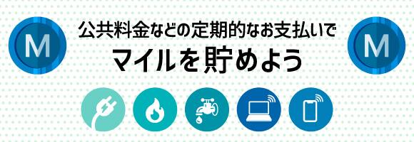 Anaカード入会キャンペーン 21