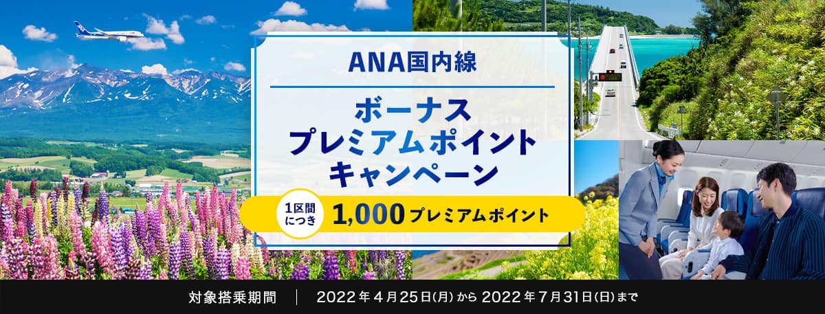 明日へのつばさ 定期医療保険 がん保険 今だけ！ANA SKY コイン1500コインプレゼント！