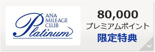 プラチナサービス 80,000プレミアムポイント 限定特典