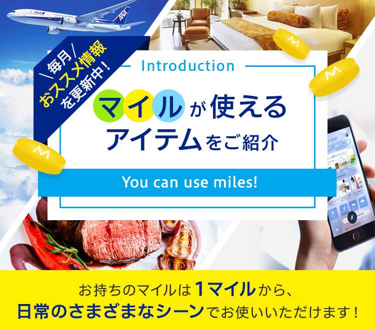 マイルが使えるアイテムをご紹介 Anaマイレージクラブ