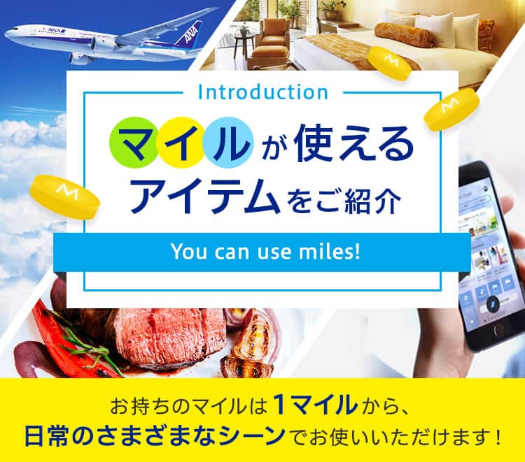 マイルが使えるアイテムをご紹介 Anaマイレージクラブ