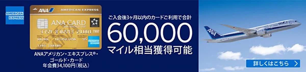 Anaカード 実施中のキャンペーン Anaマイレージクラブ
