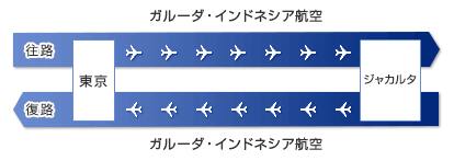 往路はガルーダ・インドネシア航空で東京発、ジャカルタ着。復路はガルーダ・インドネシア航空でジャカルタ発、東京着。