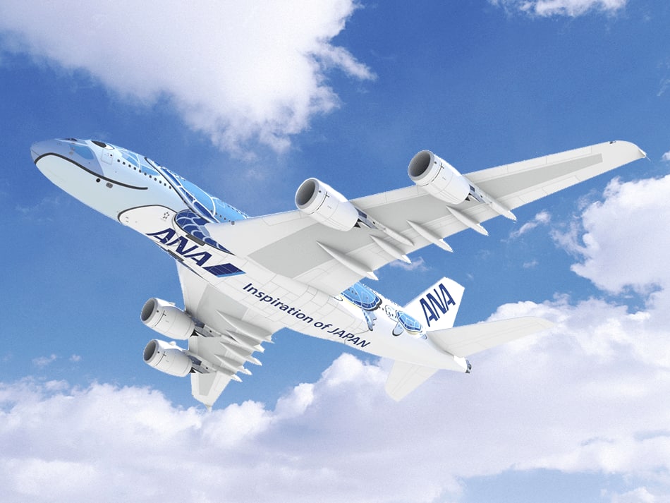 ウミガメの親子と行くハワイの旅が始まります 19年はanaの超大型機a380でひとっとび What S Up Ana Ana グループ公式の最新ニュース