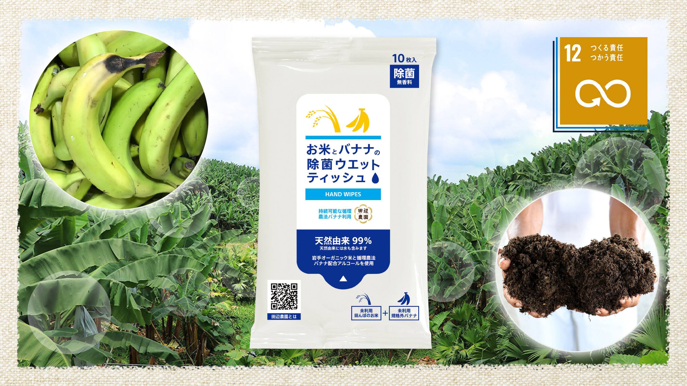 採用情報 Anaグループ企業情報