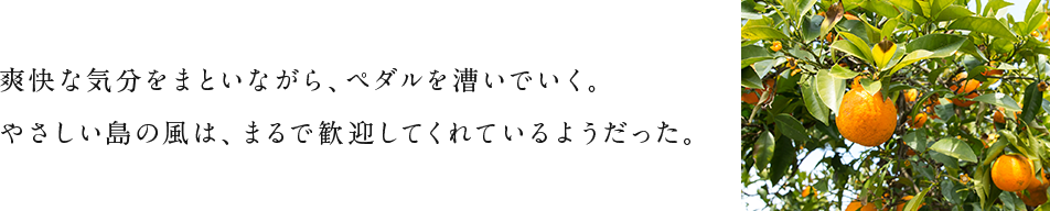 爽快な気分をまといながら、ペダルを漕いでいく。やさしい島の風は、まるで歓迎してくれているようだった。